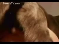 Dog licking his master&rsquo;s vagina